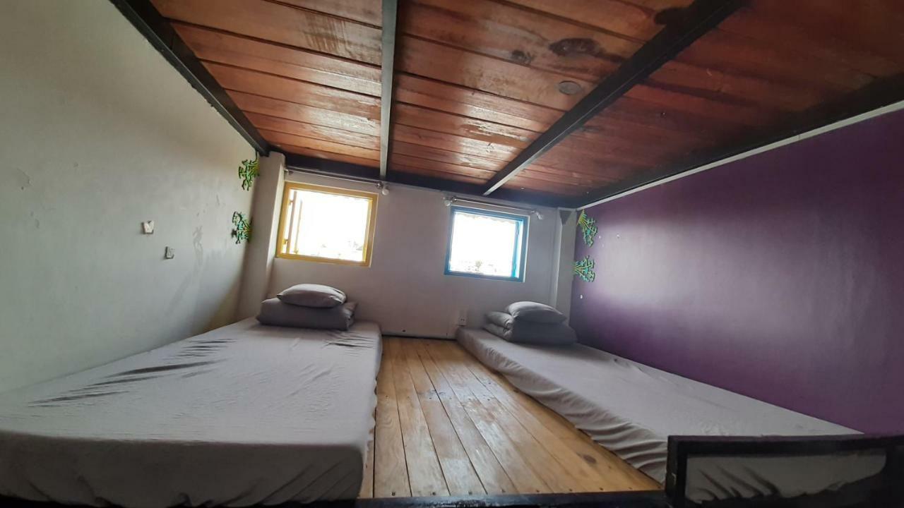 Grey Monkey Dalat Hostel Dış mekan fotoğraf